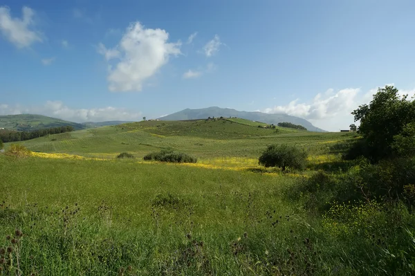 Mountain valley - landscape, island Sicily, Italy — Stock Photo, Image