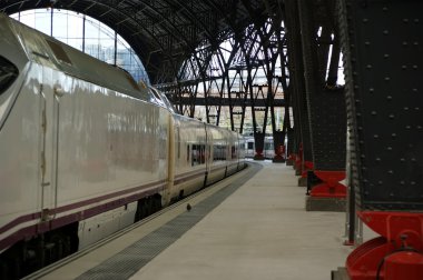 Barcelona'da tren istasyonundaki trenler