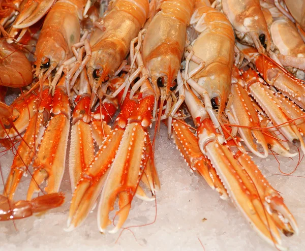 stock image Cooked lobsters on crushed ice. On sale at a market