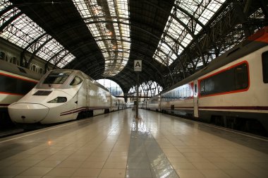 Trains at the railroad station (Estacio de Francia)