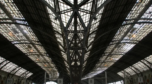 Comboios na estação ferroviária (Estácio de Francia ) — Fotografia de Stock