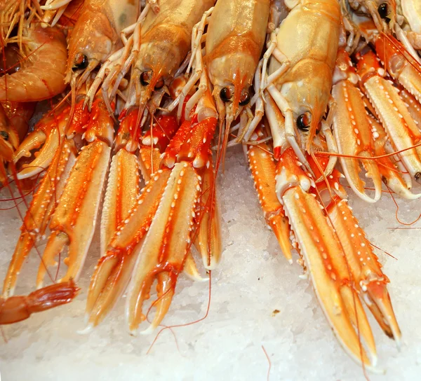 stock image Cooked lobsters on crushed ice. On sale at a market