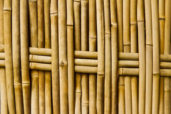 Textura de bambú viejo — Foto de Stock
