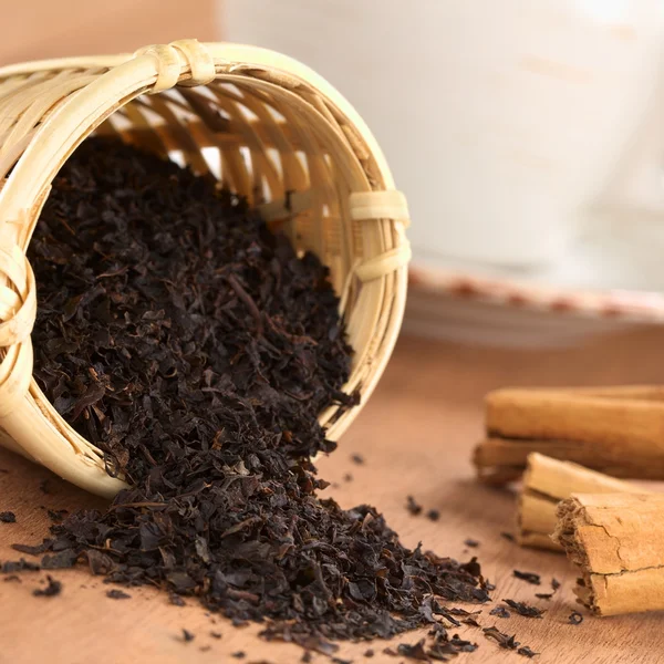 Te infuser med svart te — Stockfoto