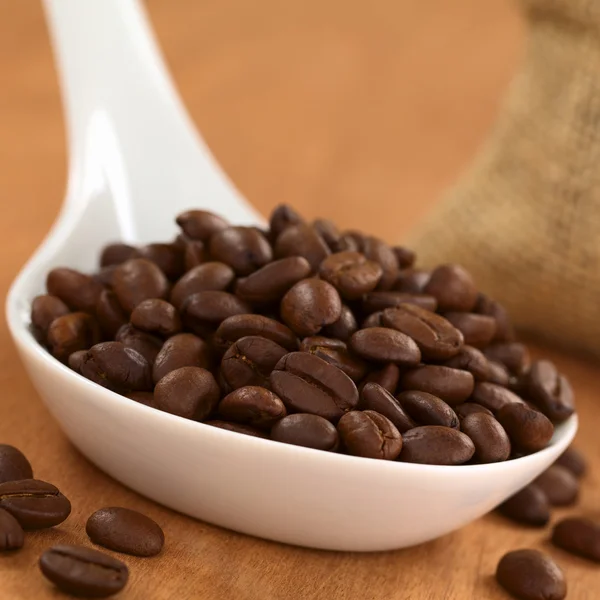 Coffee Beans on Ceramic Spoon — Stock Photo, Image