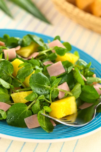 Brunnenkresse-Ananasschinken-Salat — Stockfoto