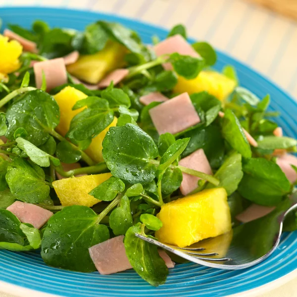 Salada de presunto de abacaxi de agrião — Fotografia de Stock