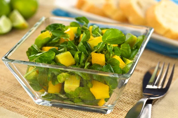 Waterkers salade met mango avocado — Stockfoto