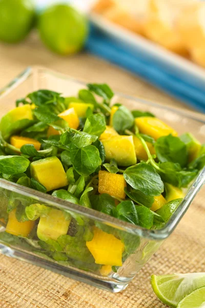Waterkers salade met mango avocado — Stockfoto