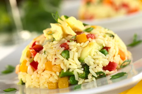 Vegetabiliska risotto — Stockfoto