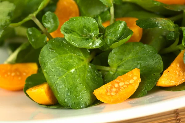 Watercress and Physalis Salad — Stock Photo, Image