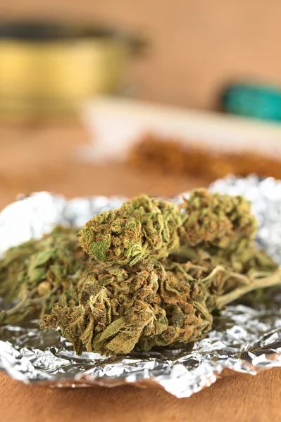 Cannabis — Stock fotografie