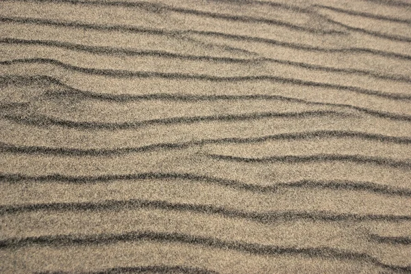 Crêtes de sable — Photo
