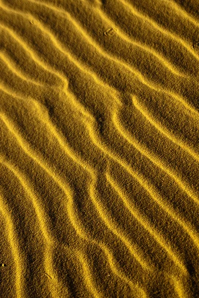 Golden Sand Lines — Stock Photo, Image