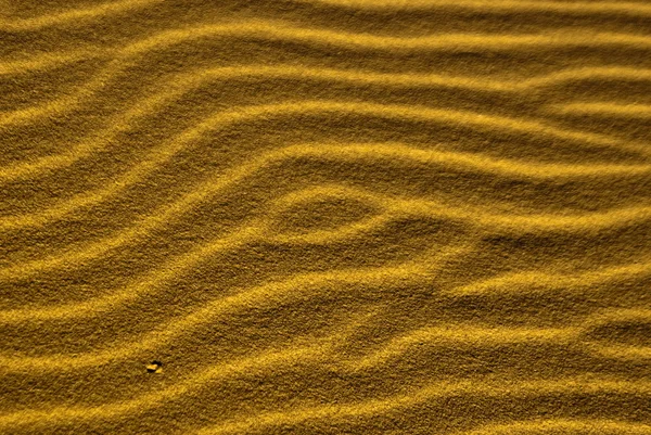 Areia Squiggles — Fotografia de Stock