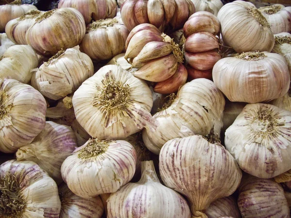 stock image Garlic Bulbs