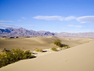 Death Valley Vista