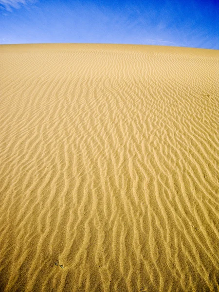 蓝蓝的天空上的黄色沙丘 — 图库照片