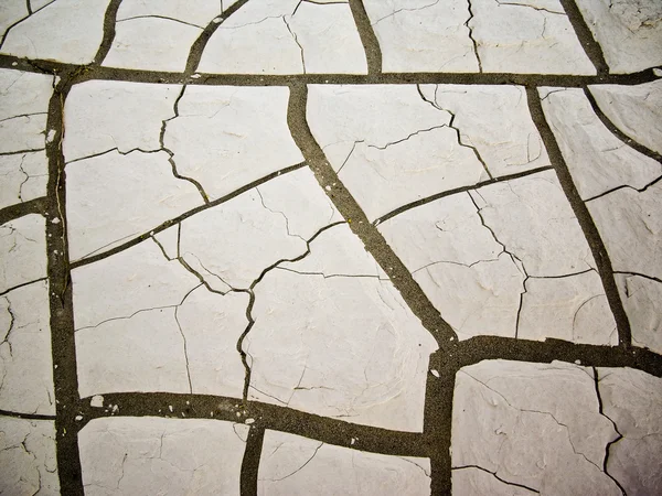 stock image Mud Cracks