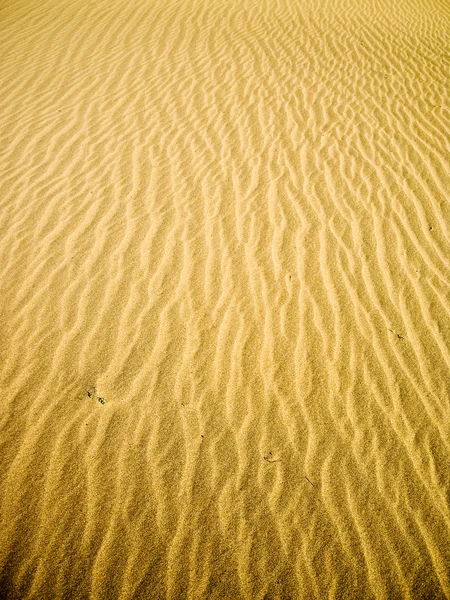 Золотий Пісок річковий Ліцензійні Стокові Фото