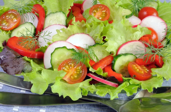 Летний салат из свежих овощей — стоковое фото