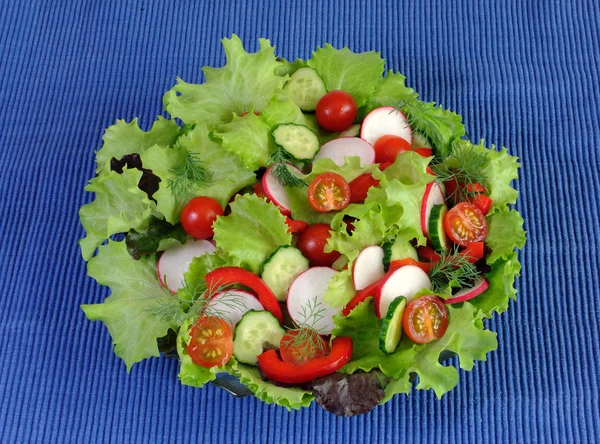 Літній салат зі свіжих овочів — стокове фото