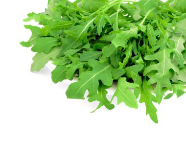 Fresh arugula on a white background clipart