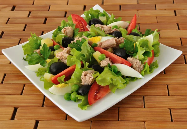 Vegetable salad with tuna and egg — Stock Photo, Image
