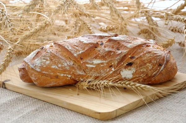 Mexican bread — Stock Photo, Image
