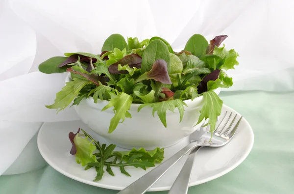 stock image Mix of different varieties of lettuce