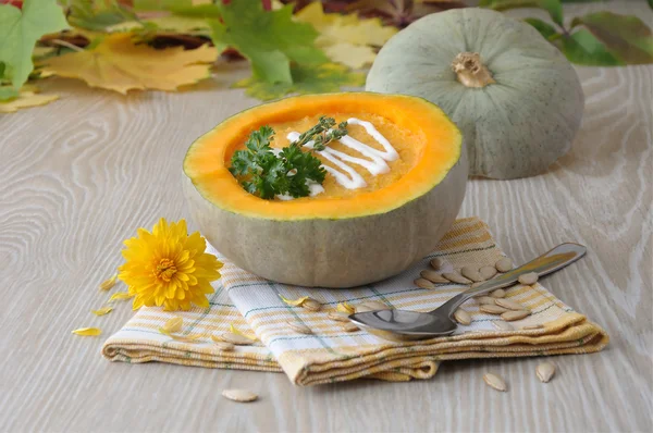 stock image Pumpkin Soup