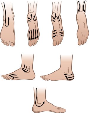 Closeup man feet with massaging lines (vector illustration) clipart