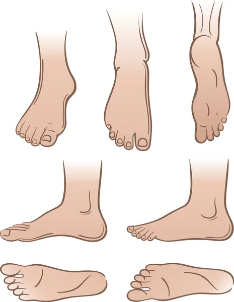 Sept pieds d'homme isolés sur fond blanc — Image vectorielle