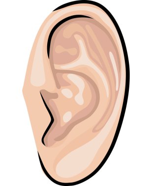 Human ear clipart