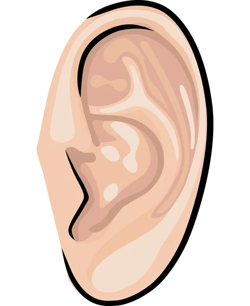 Telinga manusia - Stok Vektor