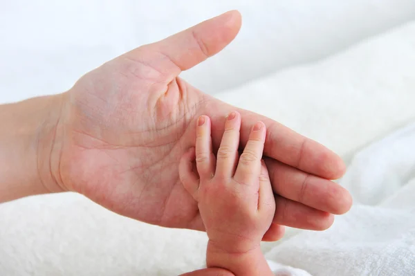 Mãos adulto e bebê — Fotografia de Stock