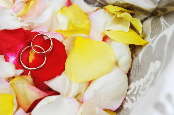 Ringar på rosor kronblad — Stock fotografie
