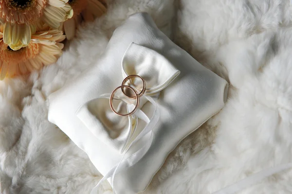 Cushion with wedding rings — Stock Photo, Image