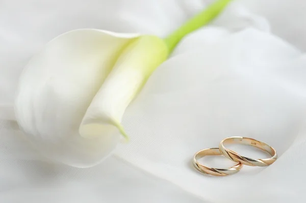 Snubní prsteny a bílý květ na bílém pozadí — Stock fotografie