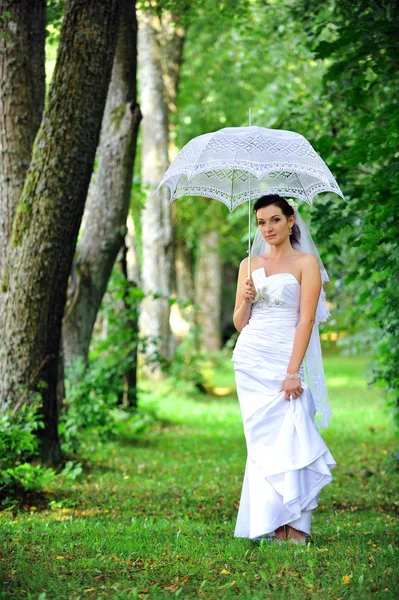 Sposa con ombrello — Foto Stock