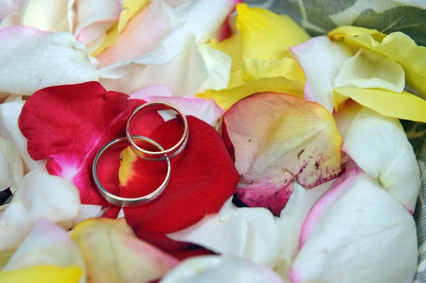 Ringen op bloemblaadjes van rozen — Stockfoto