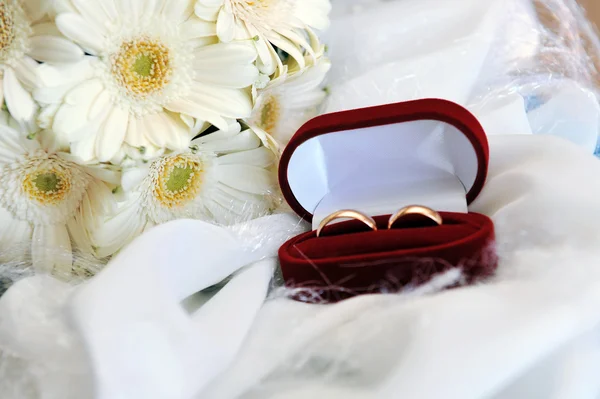 Gerberas blancas y anillos de boda — Foto de Stock