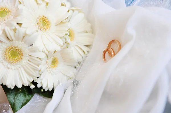白色非洲菊和结婚戒指 — 图库照片