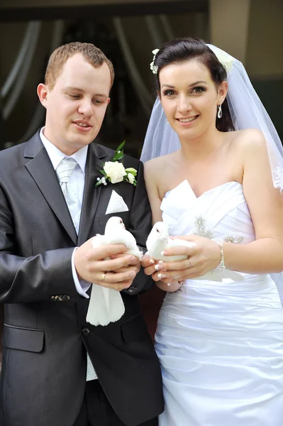 Yeni evliler güvercinler ile — Stok fotoğraf