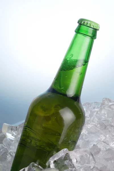 Grön flaska — Stockfoto