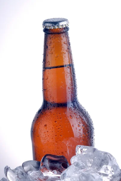 Brown bottle Stock Photo