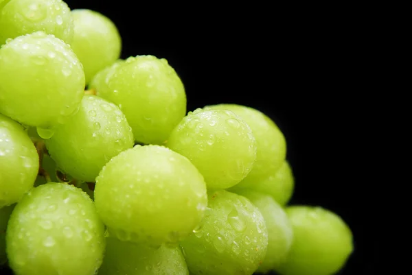 녹색 포도 — 스톡 사진