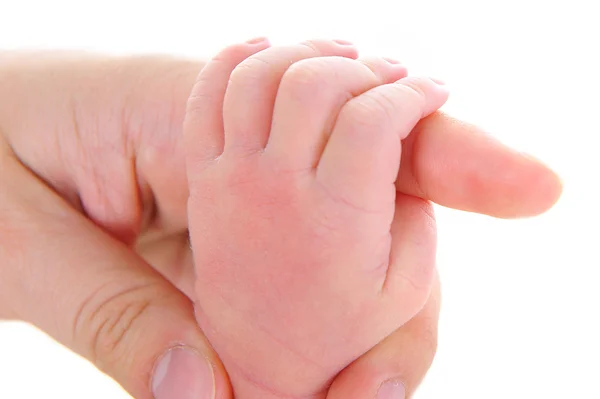 Hands adult and baby — Stock Photo, Image