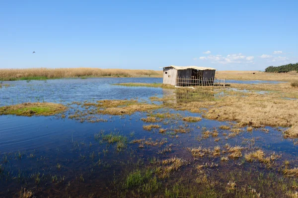 Pobre morada de cana na costa do lago rushy — Fotografia de Stock