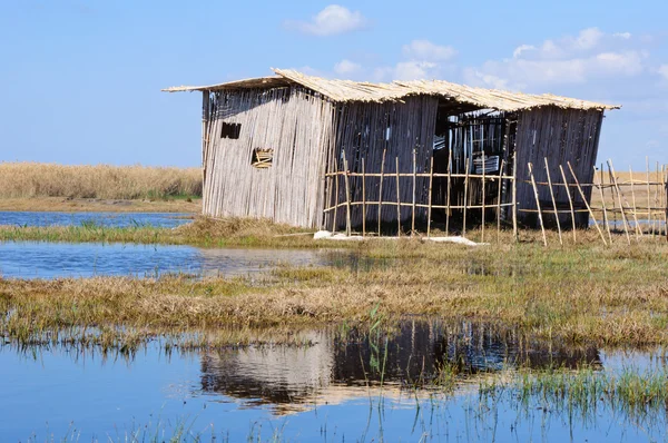Poor cane abode on rushy lake shore — Stock Photo, Image